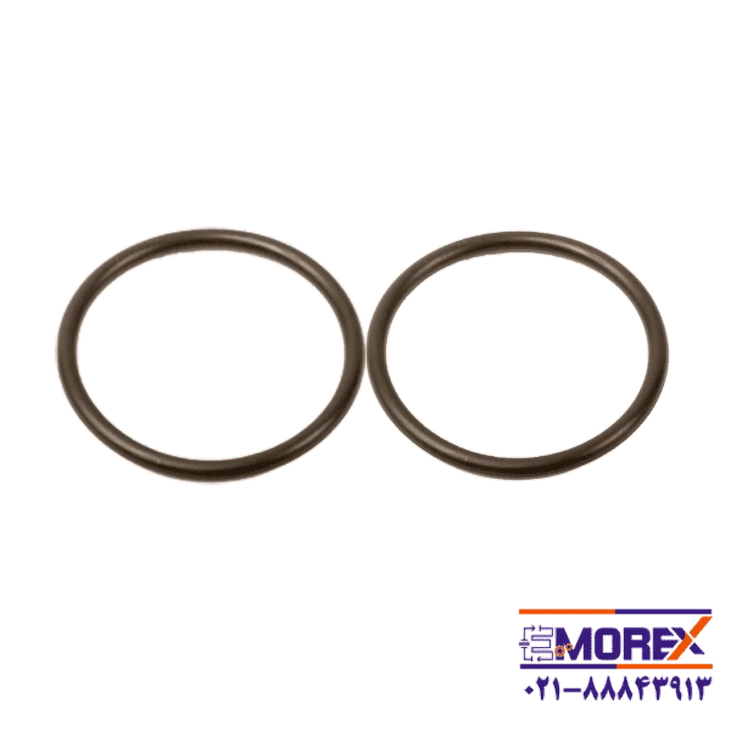 ست اورینگ آب بندی زیر سوپاپ دیافراگمی ایواتا | IWATA