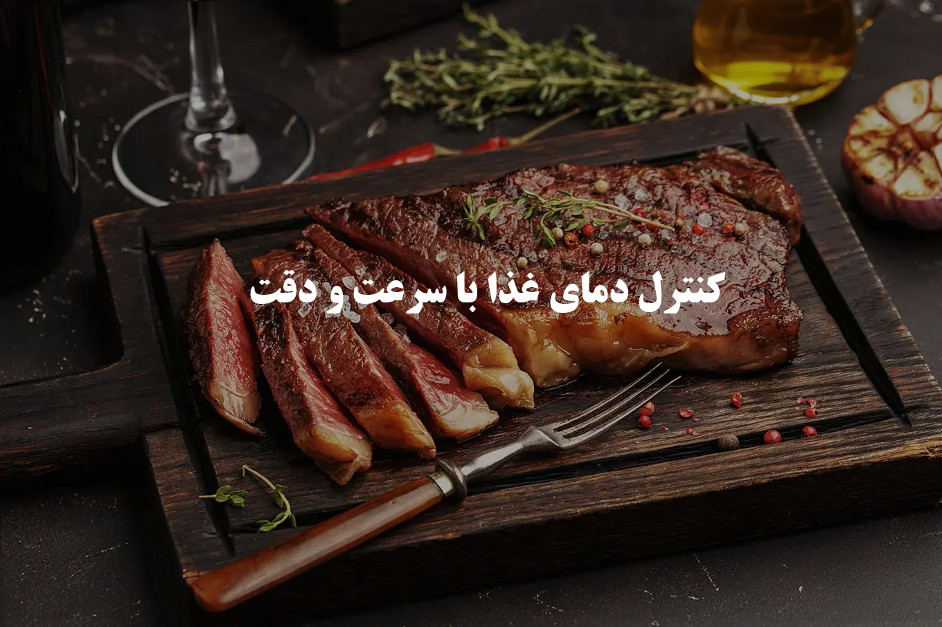 ترمومتر برای پخت و پز